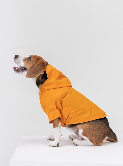 "Tribeca Adjustable Velcro Dog Raincoat - Egg Yolk | Waterproof"