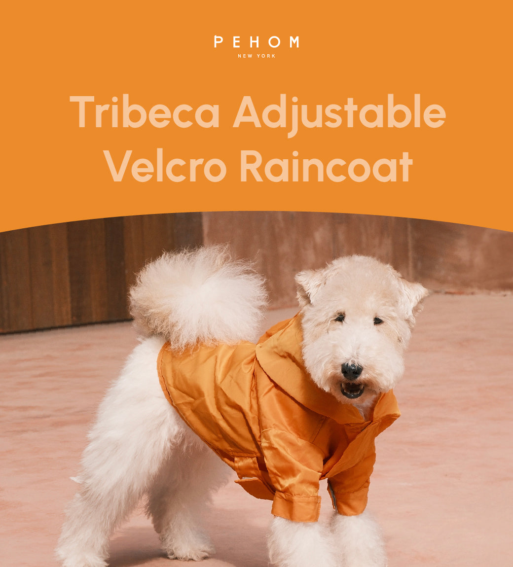 "Tribeca Adjustable Velcro Dog Raincoat - Egg Yolk | Waterproof"