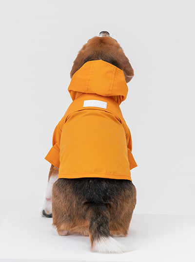 Dog wearing an orange raincoat on a white background