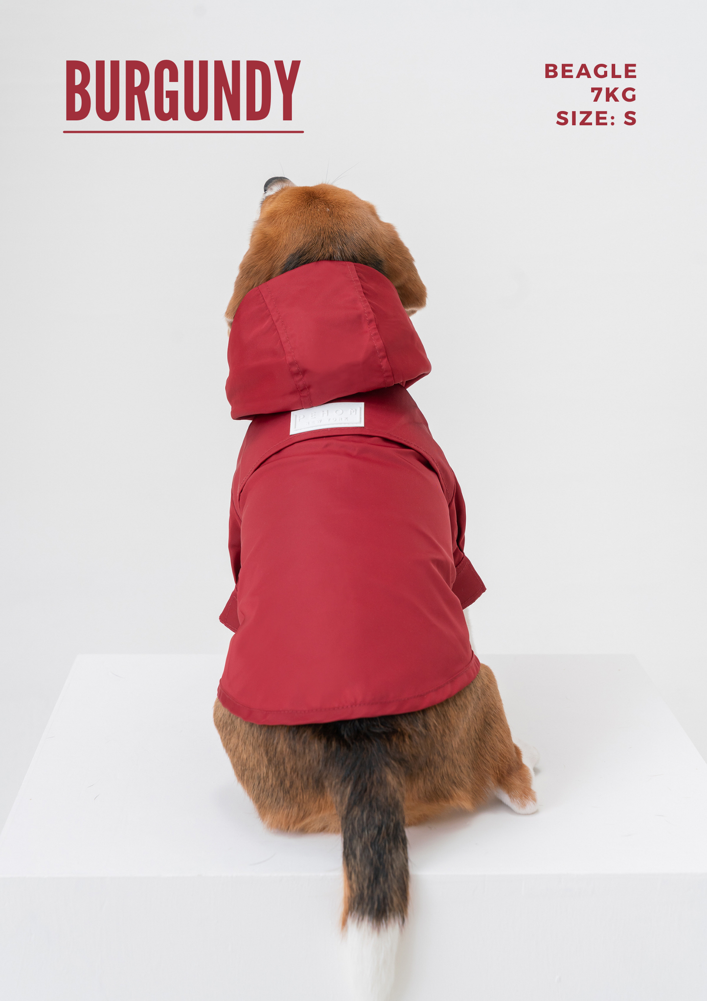 "Tribeca Adjustable Velcro Dog Raincoat - Egg Yolk | Waterproof"