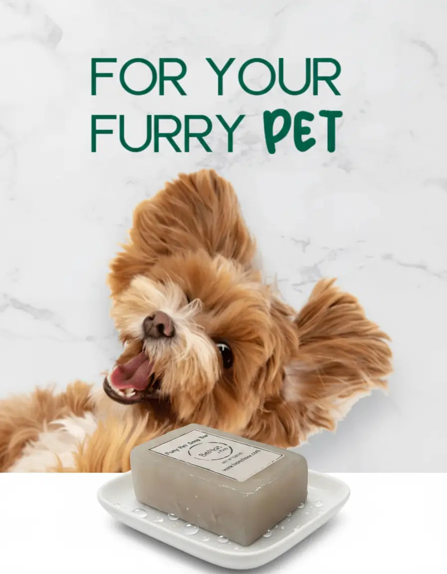 Dog lying on a bed with a bar of soap on a white tray, text 'FOR YOUR FURRY PET' above.