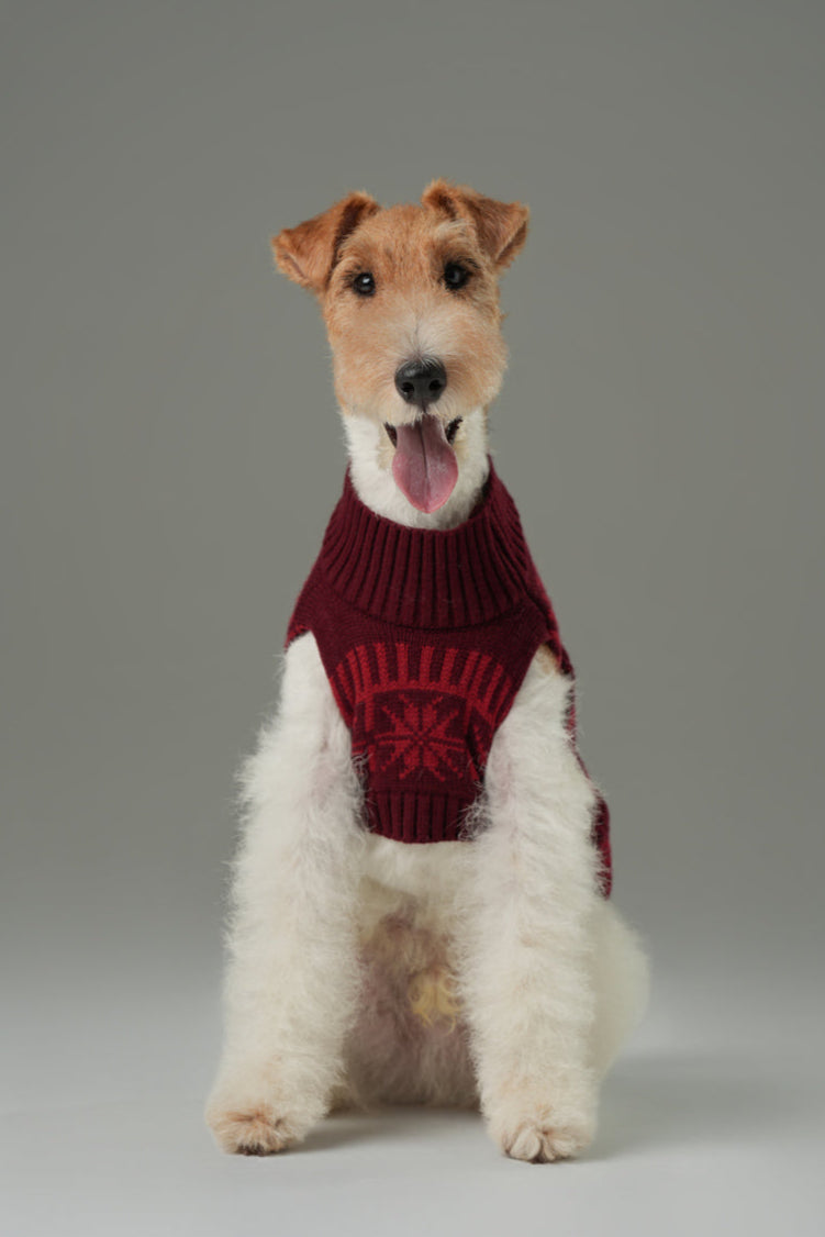 Pretzel Pet Sweater - Burgundy Red
