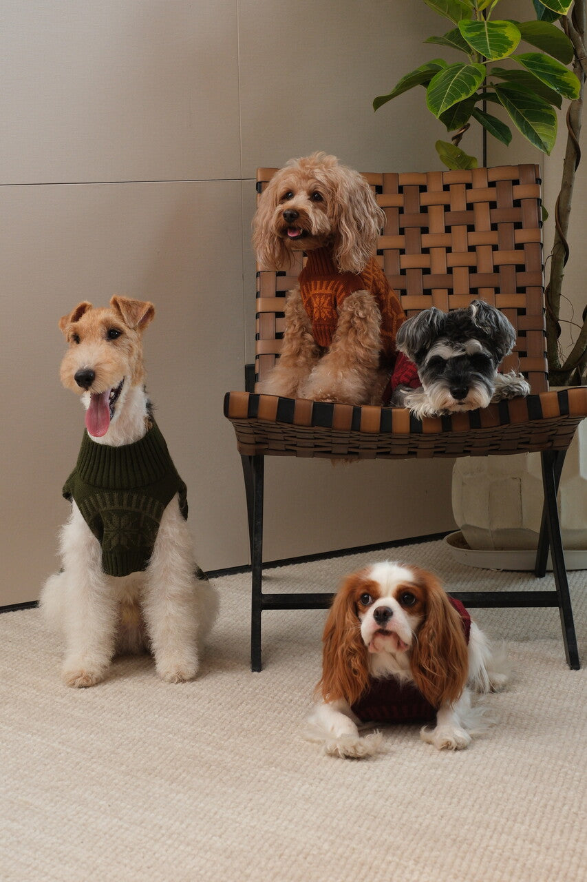 Pretzel Pet Sweater - Burgundy Red