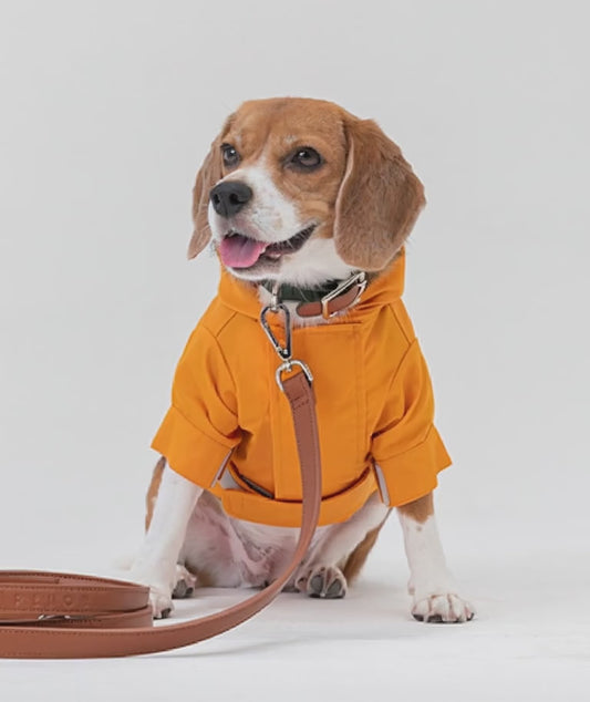 "Tribeca Adjustable Velcro Dog Raincoat - Egg Yolk | Waterproof"