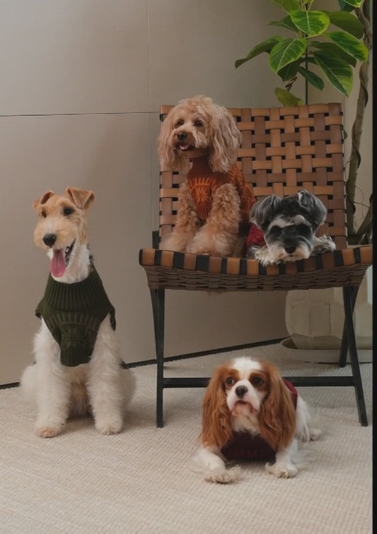 Pretzel Pet Sweater - Burgundy Red